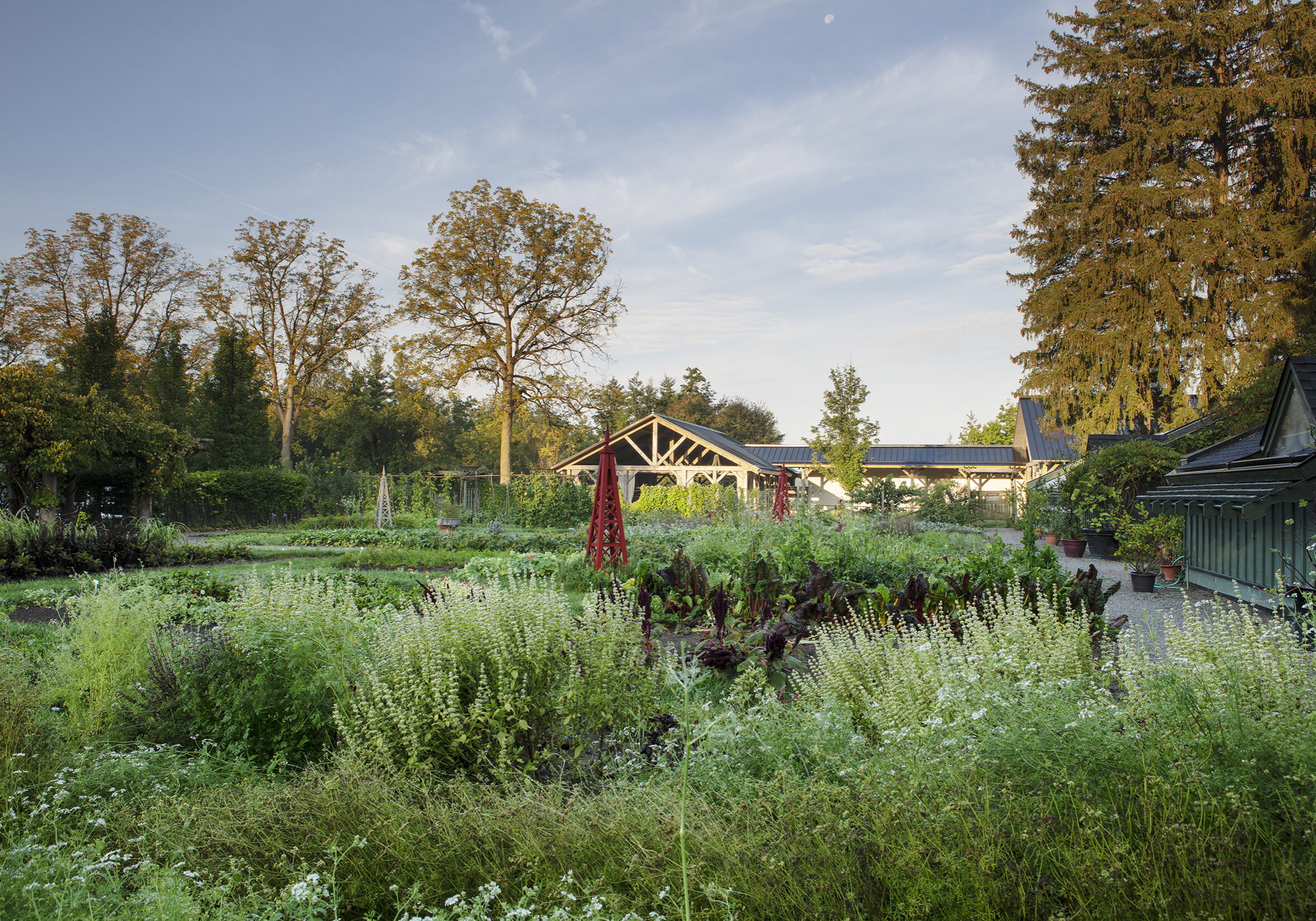 180928 langdon hall d 087