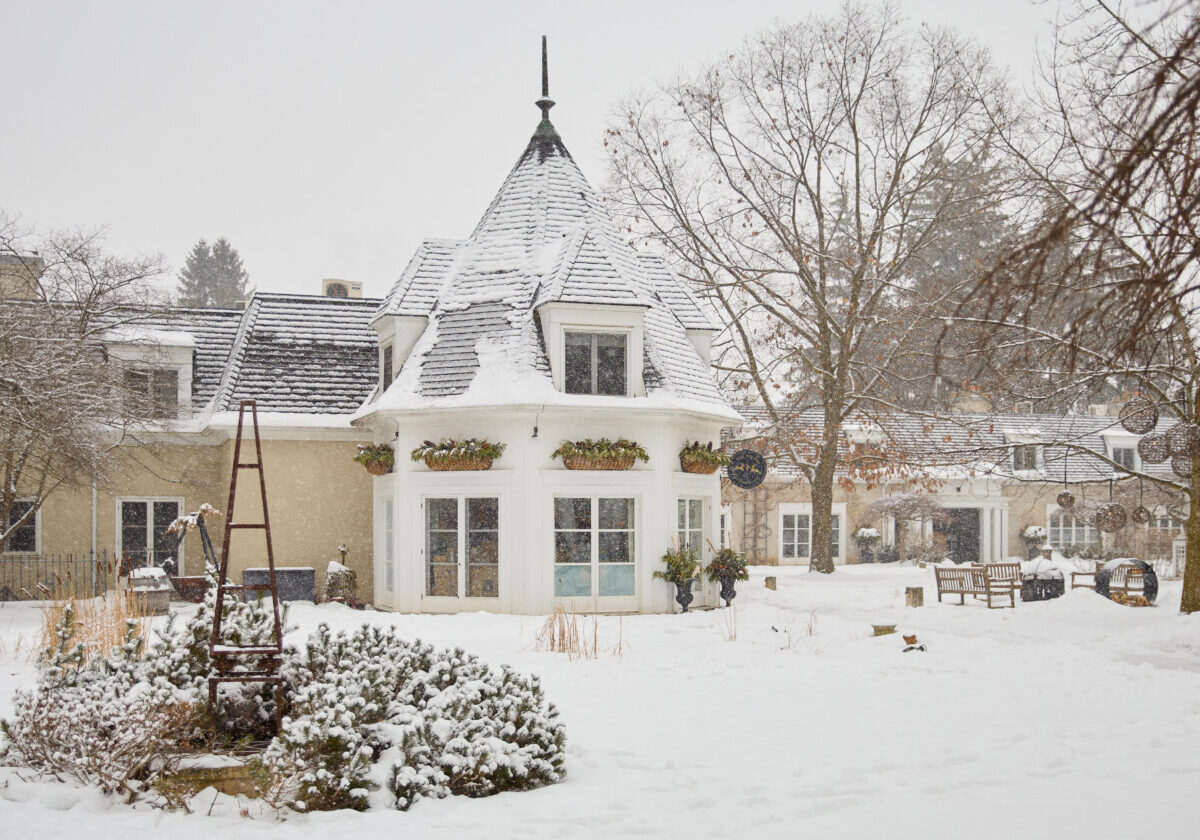 250202 langdon hall 9666